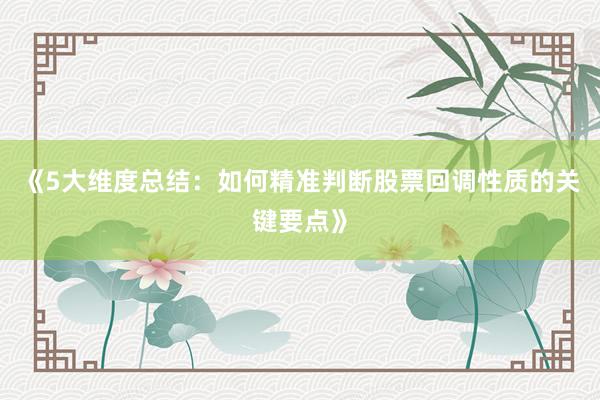 《5大维度总结:如何精准判断股票回调性质的关键要点》