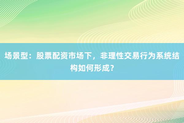 场景型：股票配资市场下，非理性交易行为系统结构如何形成？